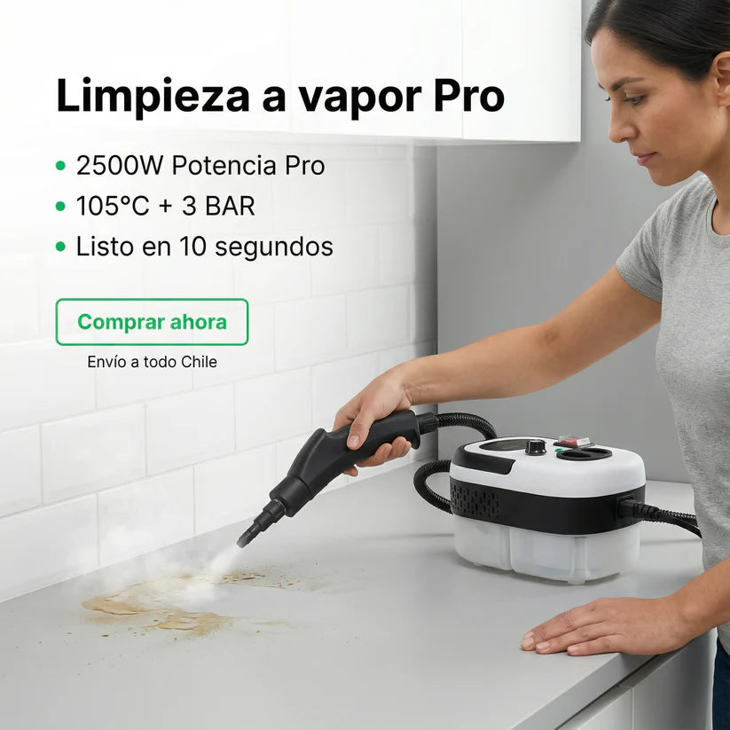 Maquina de limpieza a vapor 2500w