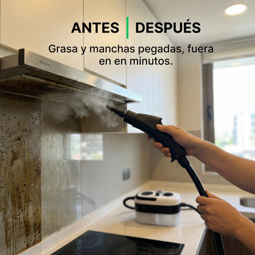 Maquina de limpieza a vapor 2500w